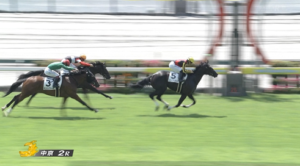 リバティアイランドの半妹コニーアイランドが新馬戦勝利