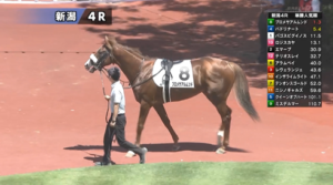 【新潟4R新馬戦】注目馬のプロメサアルムンド登場(´・ω・`)