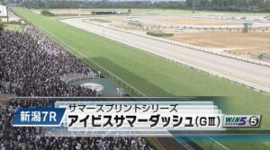 【アイビスSD】ピューロマジック＆ルメール騎手がｷﾀ━━━━(ﾟ∀ﾟ)━━━━!!