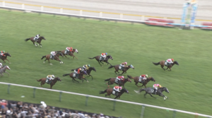 8/3(日) 第25回 アイビスサマーダッシュ（GⅢ） 反省会