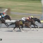 バデル騎手当たり外人でワロタ