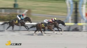 バデル騎手当たり外人でワロタ