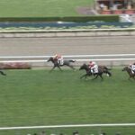 【土曜札幌5R新馬戦】ポペット&橋木騎手がキタ━━━━(゚∀゚)━━━━!!