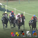 【月岡温泉特別】特別戦5頭立ては草