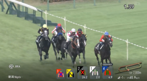 【月岡温泉特別】特別戦5頭立ては草