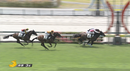 【日曜中京3R新馬戦】ルヴァンスレーヴ産駒のラエトゥスがキタ━━━━(゚∀゚)━━━━!!