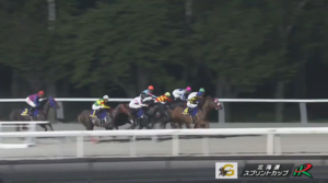 【北海道スプリントC】ヤマニンチェルキ＆石川倭騎手がｷﾀ━━━━(ﾟ∀ﾟ)━━━━!!