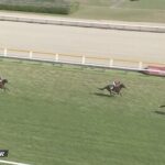 【中郷特別】エストゥペンダ&戸崎騎手がキタ━━━━(゚∀゚)━━━━!!