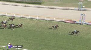 【中郷特別】エストゥペンダ＆戸崎騎手がｷﾀ━━━━(ﾟ∀ﾟ)━━━━!!