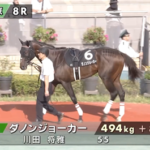 【常滑特別】ダノンジョーカー 単勝1.1倍