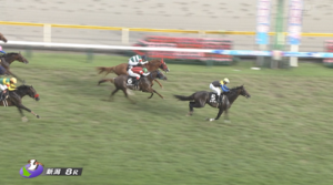 【阿賀野川特別】アマキヒ＆戸崎騎手がｷﾀ━━━━(ﾟ∀ﾟ)━━━━!!