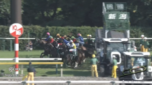 【新潟２歳S】リアライズシリウス＆津村騎手がｷﾀ━━━━(ﾟ∀ﾟ)━━━━!!