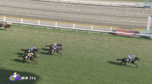 【新潟2歳S】リアライズシリウス強すぎワロタ