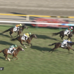 【日曜新潟5R新馬戦】コスモエルヴァル&原優介騎手がキタ━━━━(゚∀゚)━━━━!!