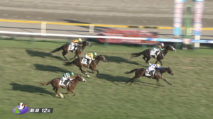 【日曜新潟5R新馬戦】コスモエルヴァル＆原優介騎手がｷﾀ━━━━(ﾟ∀ﾟ)━━━━!!