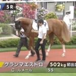 【新潟5R新馬戦】注目馬のグランマエストロ登場