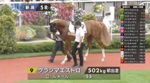 【新潟5R新馬戦】注目馬のグランマエストロ登場