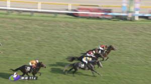 【日本海S】ゲルチュタール＆坂井騎手がｷﾀ━━━━(ﾟ∀ﾟ)━━━━!!