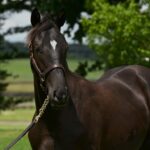 [競馬] 識者「イクイノックスも欧州遠征していたら同じ結果だった」