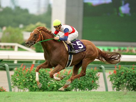 日本の種牡馬は孫で消えるという伝統から考えたらディープ後継がほぼダメなのは当然では