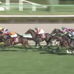 【紫苑ステークス2025】結果・動画/ケリフレッドアスクが逃げ切り重賞初V