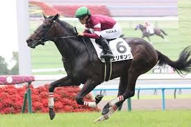 菊花賞はエネルジコvsエリキングvsゲルチュタール