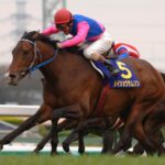 【追悼】メイショウの馬の思い出を語ってくれ