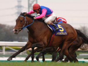 【追悼】メイショウの馬の思い出を語ってくれ