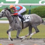 トランセンド、ラニの2頭が種牡馬引退