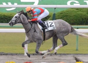 トランセンド、ラニの2頭が種牡馬引退