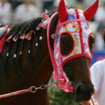 【訃報】"負け組の星"ハルウララが死亡