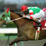 競馬歴16年以上の人でも納得する懐かし競走馬出した奴が優勝