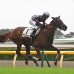アロヒアリイ凱旋門賞参戦が正式決定 日本馬4頭出走へ