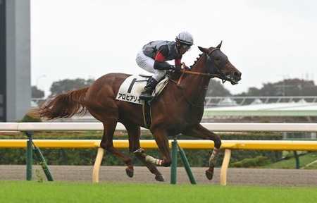 アロヒアリイ凱旋門賞参戦が正式決定 日本馬4頭出走へ