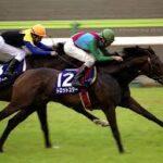 競馬ファンがほぼほぼ忘れかけてる競走馬