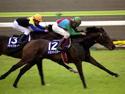 競馬ファンがほぼほぼ忘れかけてる競走馬