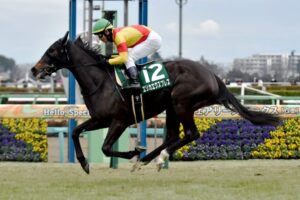 秋華賞エリカエクスプレス武豊