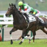 夏競馬を席巻したサートゥルナーリア産駒、秋はまるで通用しない
