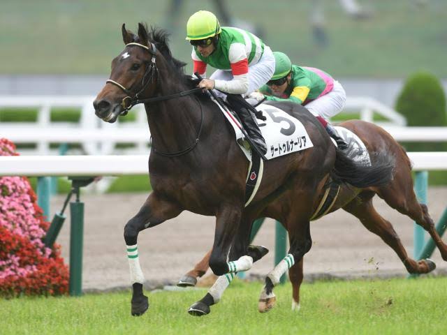 夏競馬を席巻したサートゥルナーリア産駒、秋はまるで通用しない