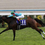最強牝馬の1位2位は確定したから、3番手は?