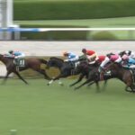 【チャレンジカップ2025】結果・動画/オールナットが突き抜け快勝