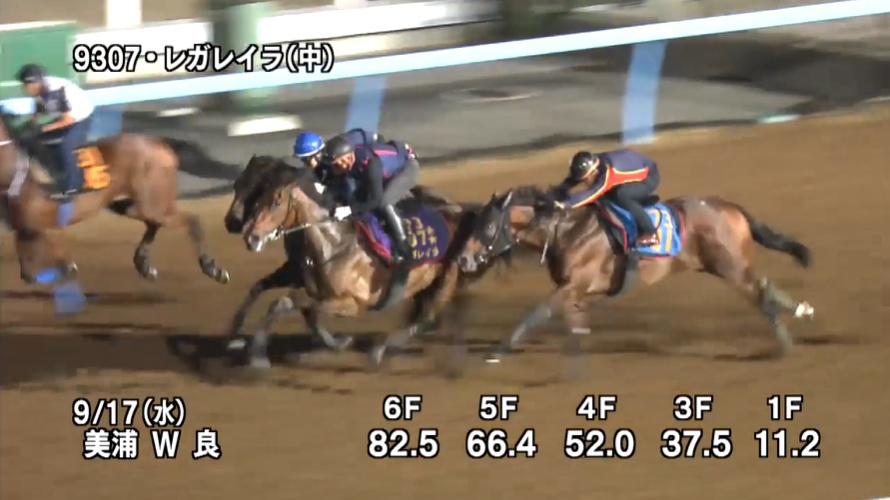 【オールカマー2025】追い切り/動きからレースを紐解く