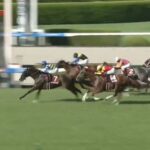【競馬】セントウルSは川田騎乗のカンチェンジュンガが直線一気の差し切りV