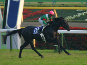 馬名で一番かっこいいのは