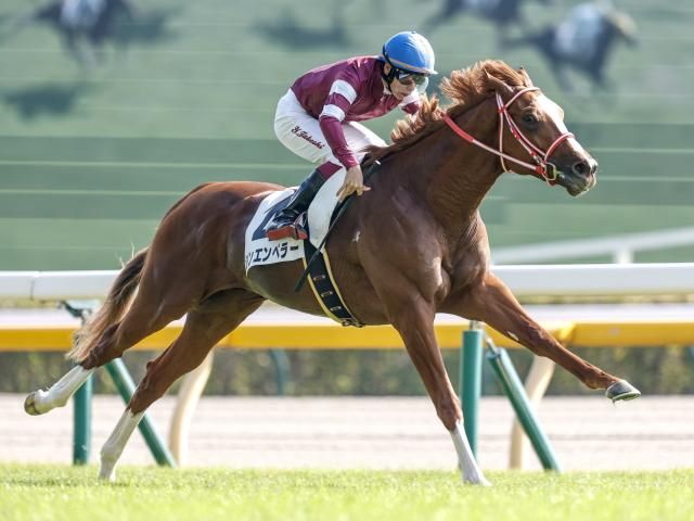 今年の凱旋門賞で1番期待できる日本馬はシンエンペラー