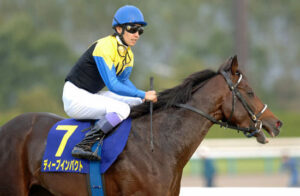 史上最強馬決定戦のフルゲート18頭を選ぼう