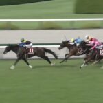 【ローズステークス2025】結果・動画/カムニャックが人気に応え差し切る