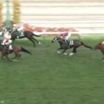 【競馬】札幌2歳は池添騎乗のショウナンガルフがV