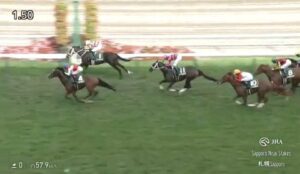 【競馬】札幌2歳は池添騎乗のショウナンガルフがV