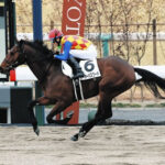 【競馬予想】第29回シリウスステークス(GⅢ) /2025